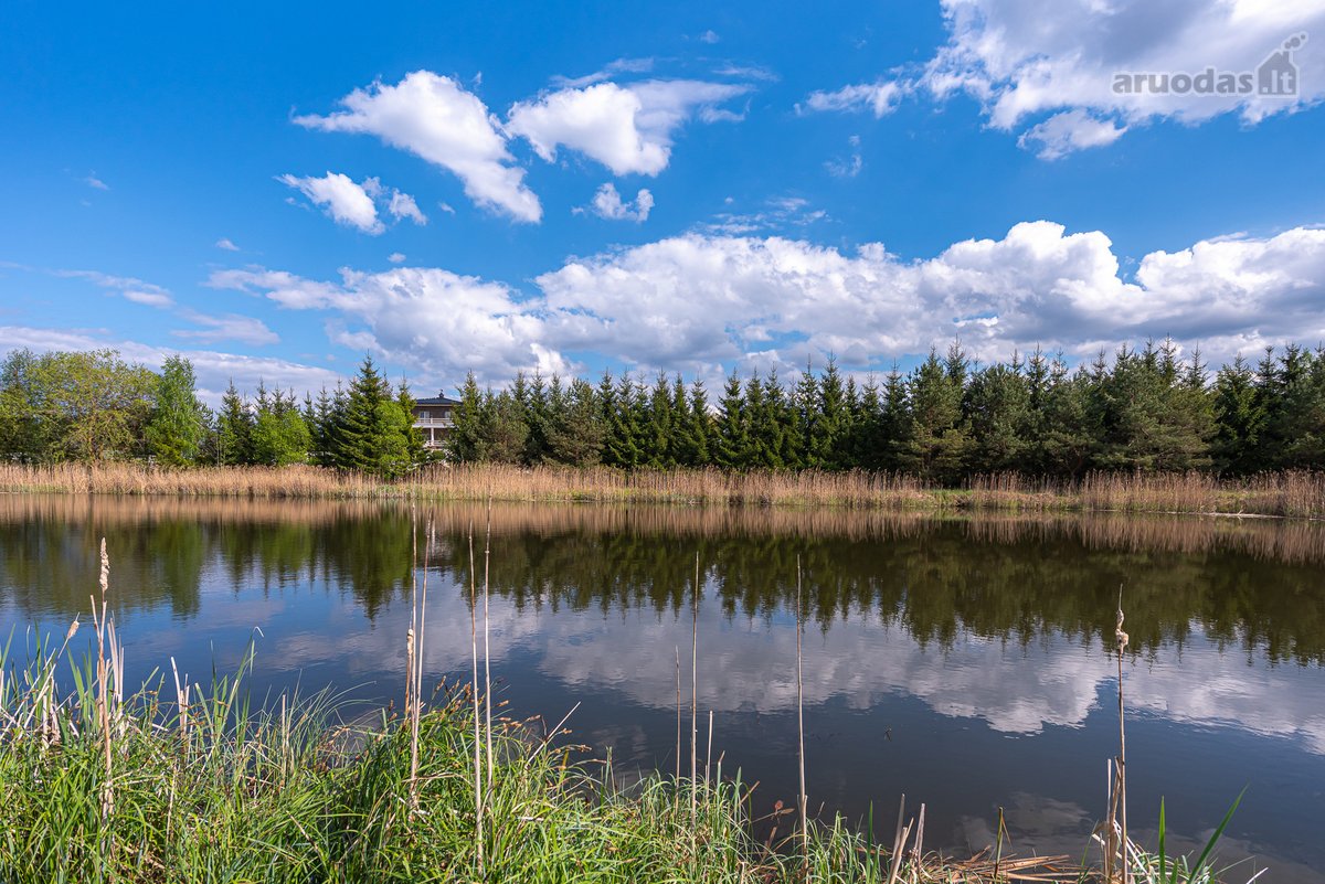 Užugriovio kaime parduodamas 3,1 ha žemės - nuotraukos Nr. 20