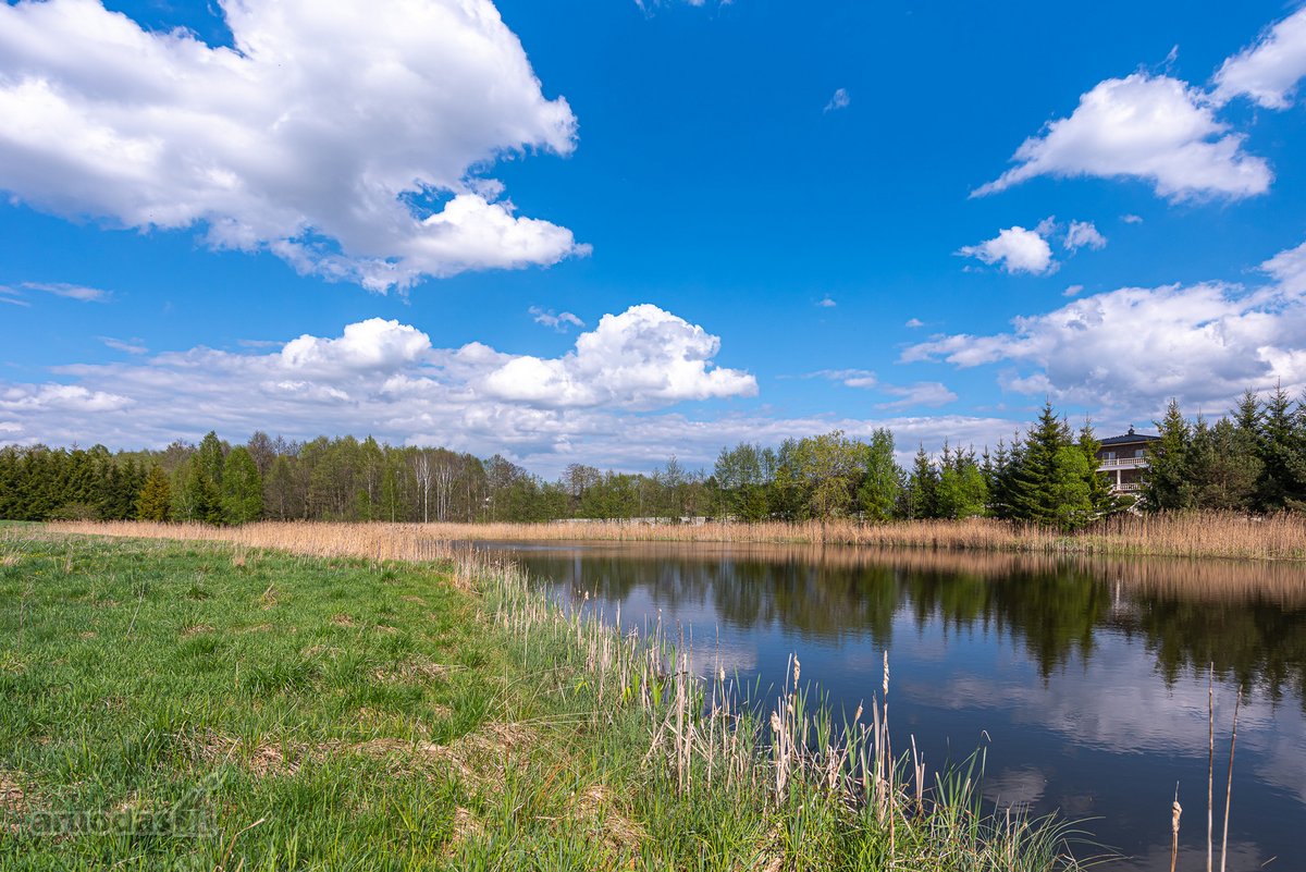 Užugriovio kaime parduodamas 3,1 ha žemės - nuotraukos Nr. 21