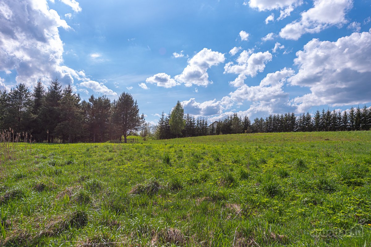 Užugriovio kaime parduodamas 3,1 ha žemės - nuotraukos Nr. 14