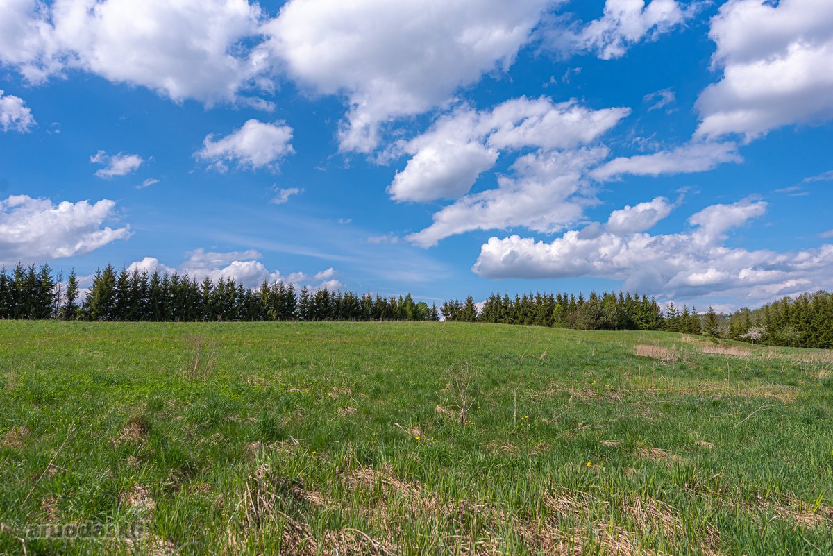 Užugriovio kaime parduodamas 3,1 ha žemės - nuotraukos Nr. 13