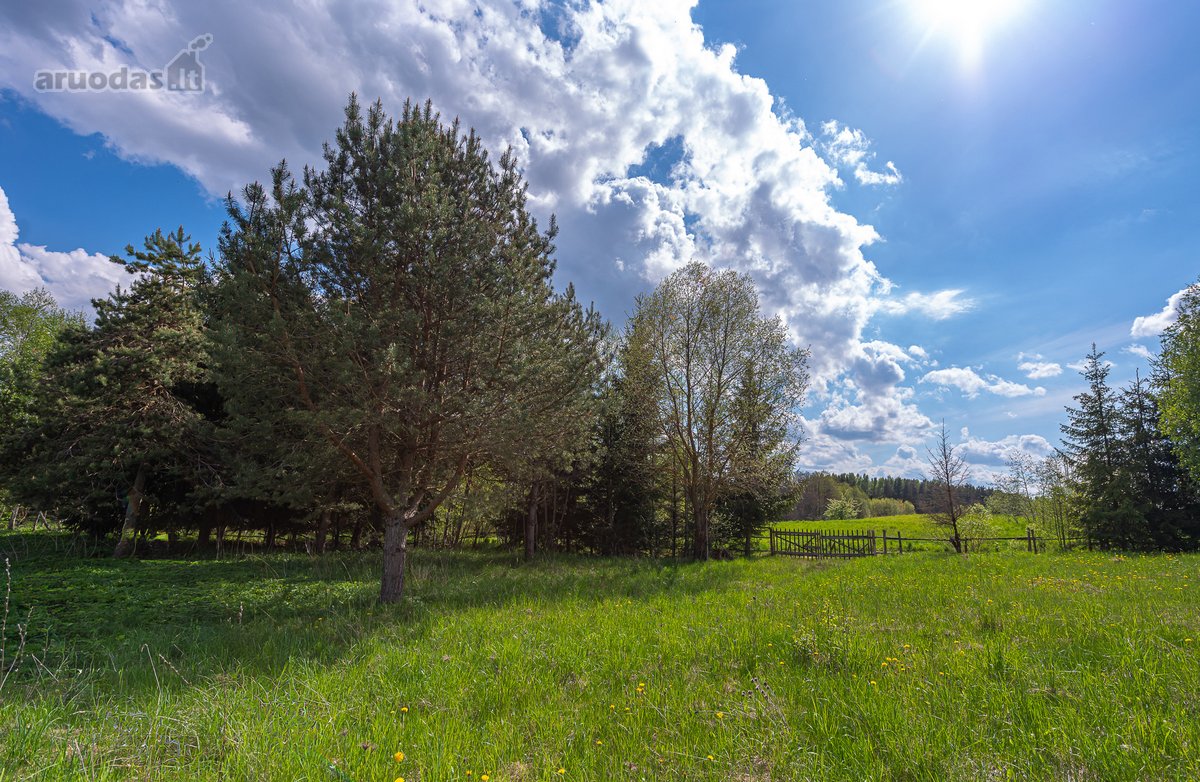 Užugriovio kaime parduodamas 3,1 ha žemės - nuotraukos Nr. 22