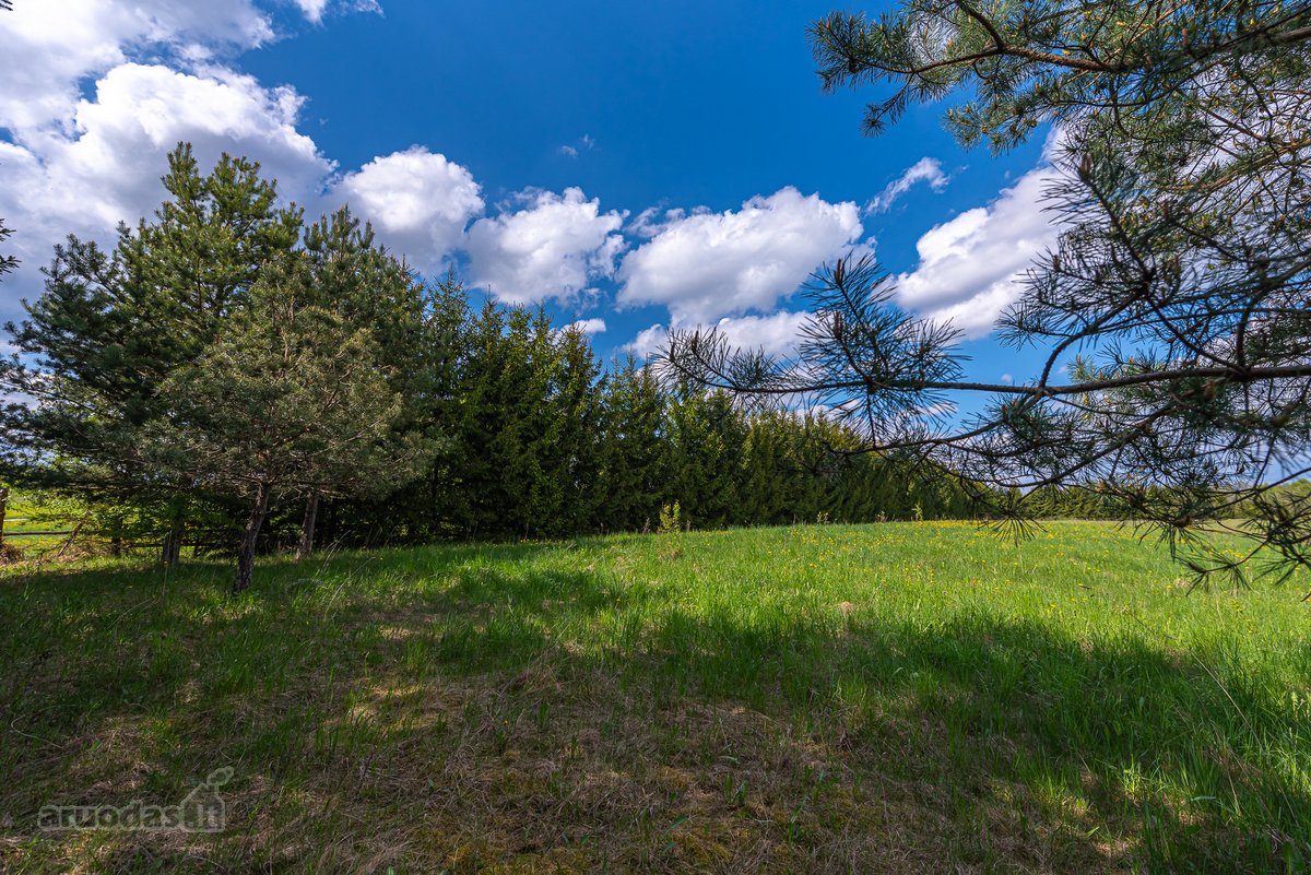 Užugriovio kaime parduodamas 3,1 ha žemės - nuotraukos Nr. 26