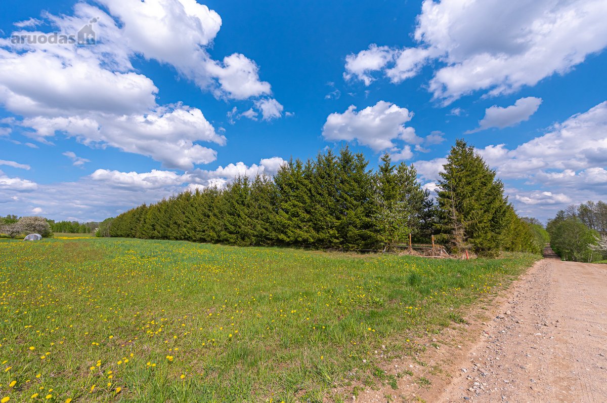 Užugriovio kaime parduodamas 3,1 ha žemės - nuotraukos Nr. 29