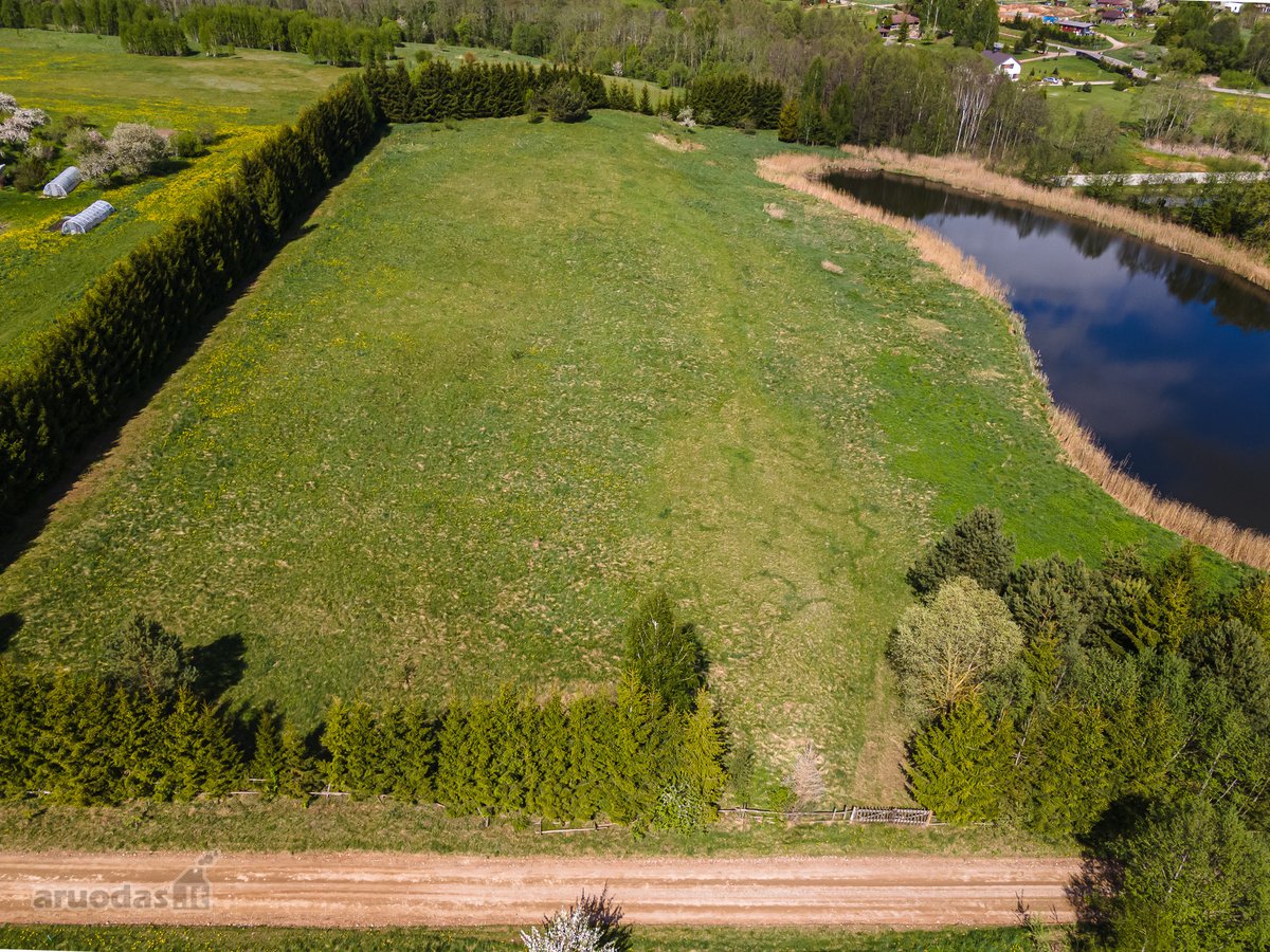 Užugriovio kaime parduodamas 3,1 ha žemės - nuotraukos Nr. 3
