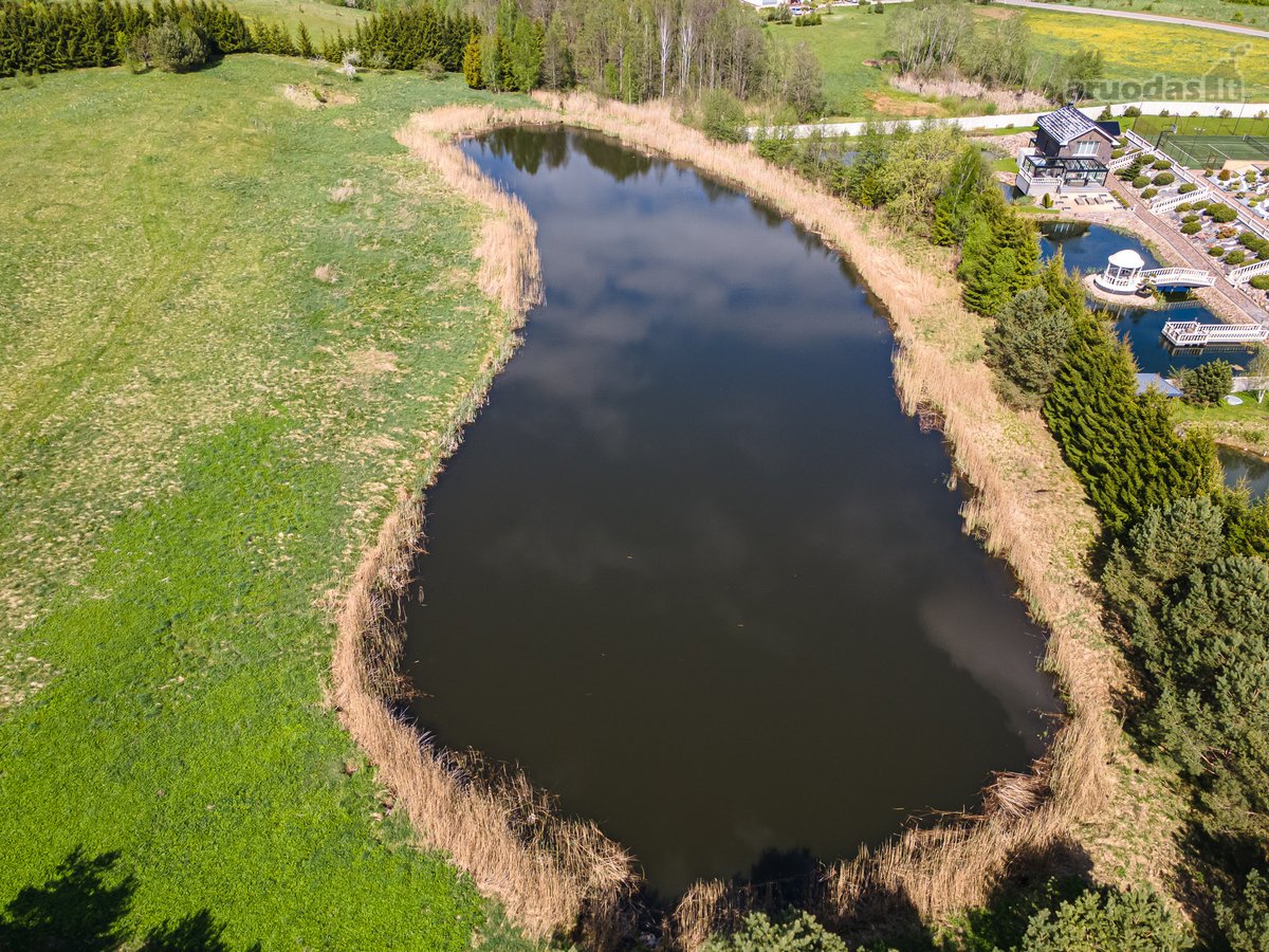 Užugriovio kaime parduodamas 3,1 ha žemės - nuotraukos Nr. 4