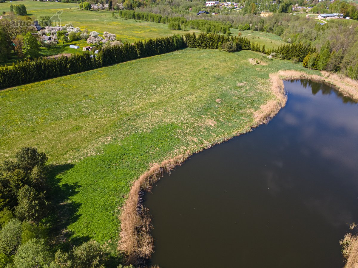 Užugriovio kaime parduodamas 3,1 ha žemės - nuotraukos Nr. 6