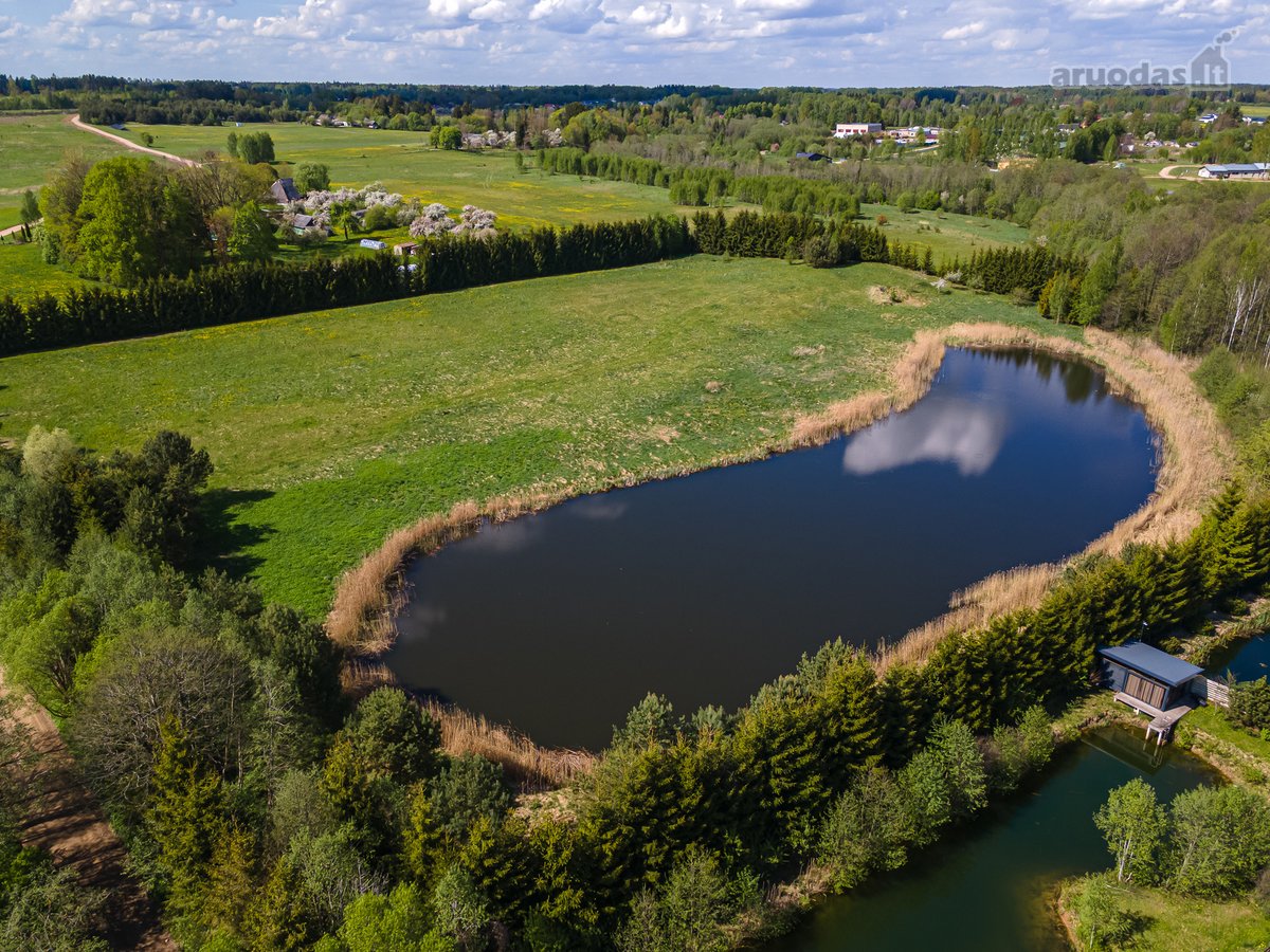 Užugriovio kaime parduodamas 3,1 ha žemės - nuotraukos Nr. 5