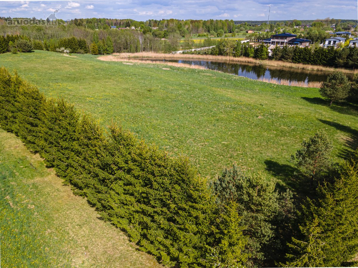 Užugriovio kaime parduodamas 3,1 ha žemės - nuotraukos Nr. 10