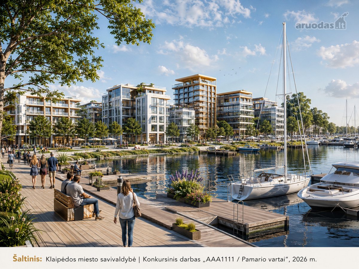 Išskirtinė vieta šalia Kuršių marių, pušyno - nuotraukos Nr. 8
