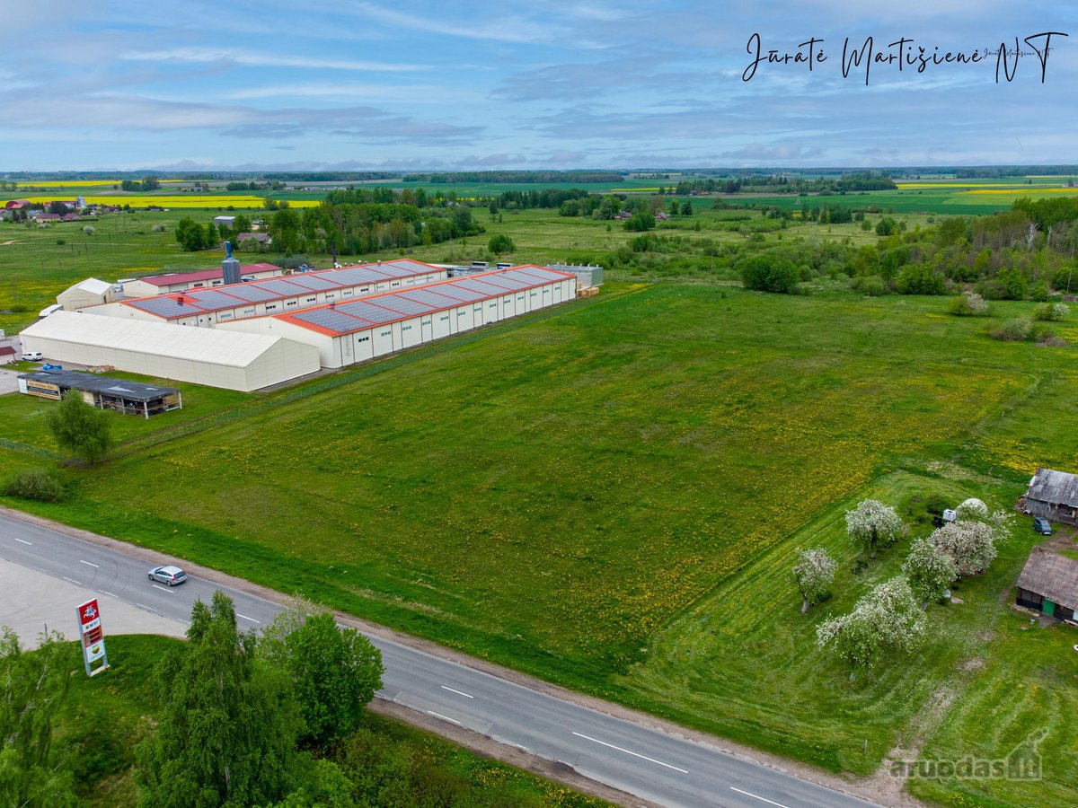 Parduodamas 1,4766 Ha žemės sklypas Raseinių - nuotraukos Nr. 12