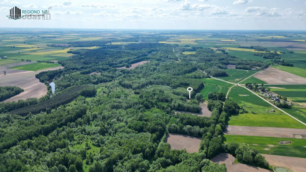Parduodama Išskirtinė Sodyba Su Miško Dalimi - nuotraukos Nr. 25
