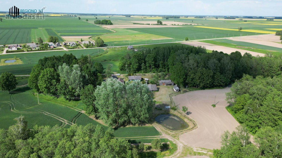 Parduodama Išskirtinė Sodyba Su Miško Dalimi - nuotraukos Nr. 3