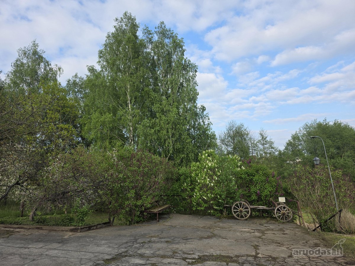 Erdvus Namas Gamtos Apsuptyje Su 39 A Sklypu, - nuotraukos Nr. 6