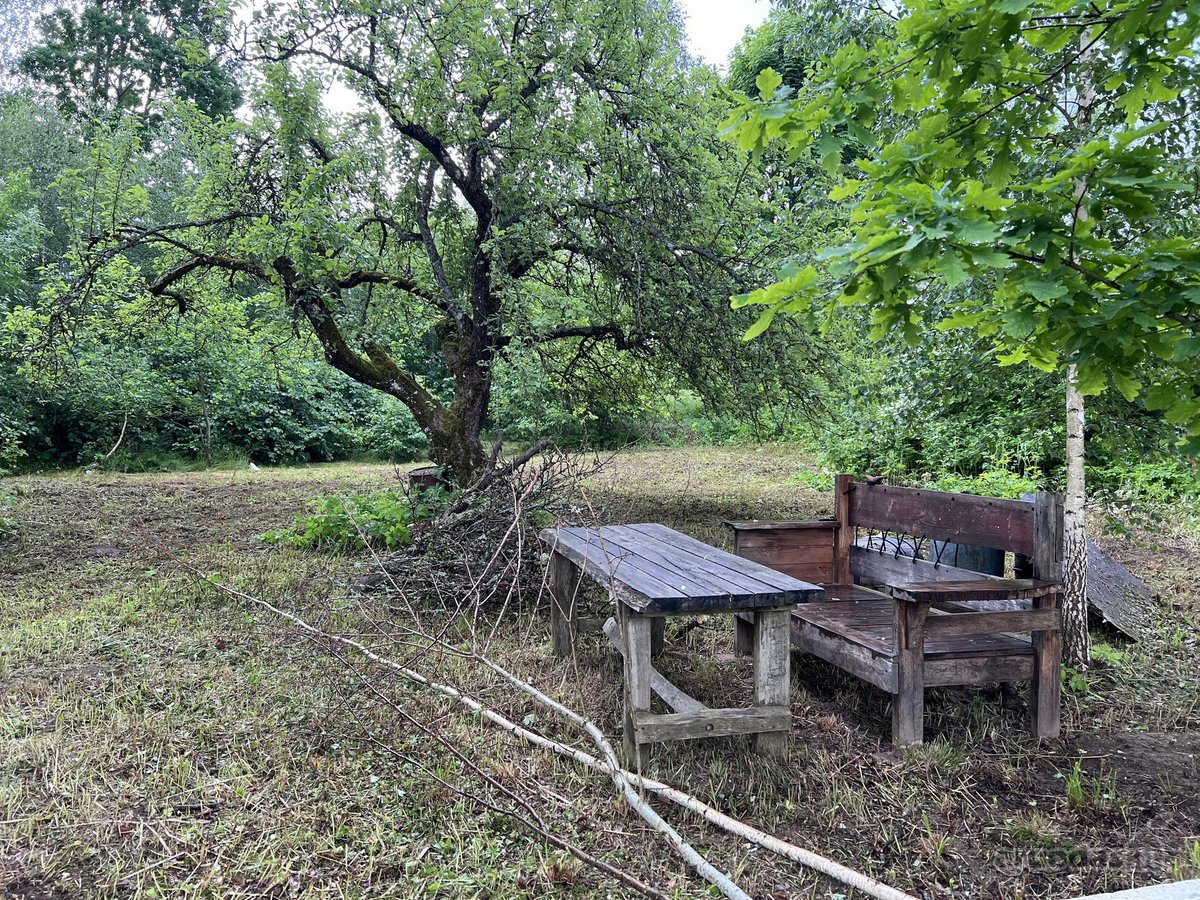 Nusprendėme “paleisti , perduoti į kitas - nuotraukos Nr. 5