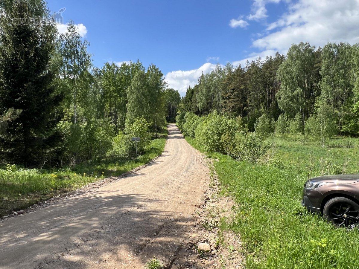 Nusprendėme “paleisti , perduoti į kitas - nuotraukos Nr. 13