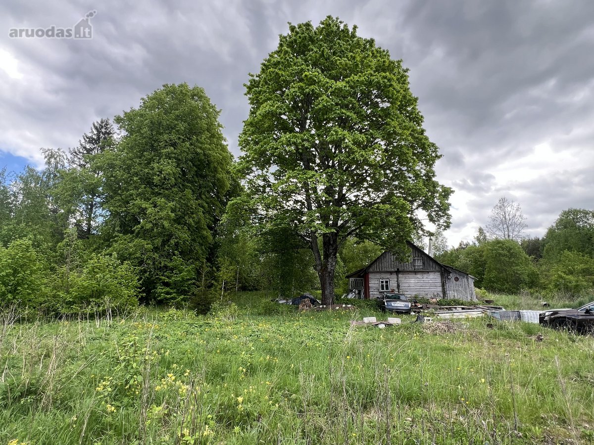 Nusprendėme “paleisti , perduoti į kitas - nuotraukos Nr. 14