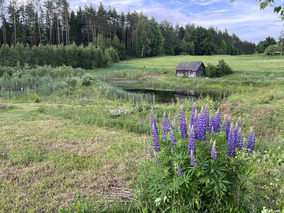Nusprendėme “paleisti , perduoti į kitas - nuotraukos Nr. 15