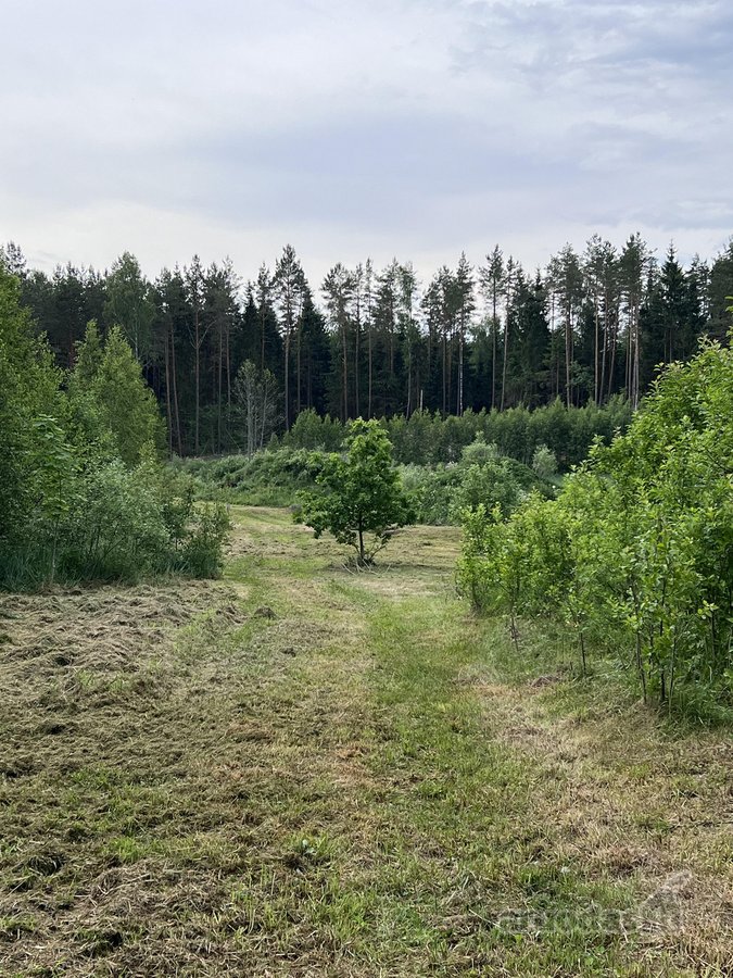 Nusprendėme “paleisti , perduoti į kitas - nuotraukos Nr. 16