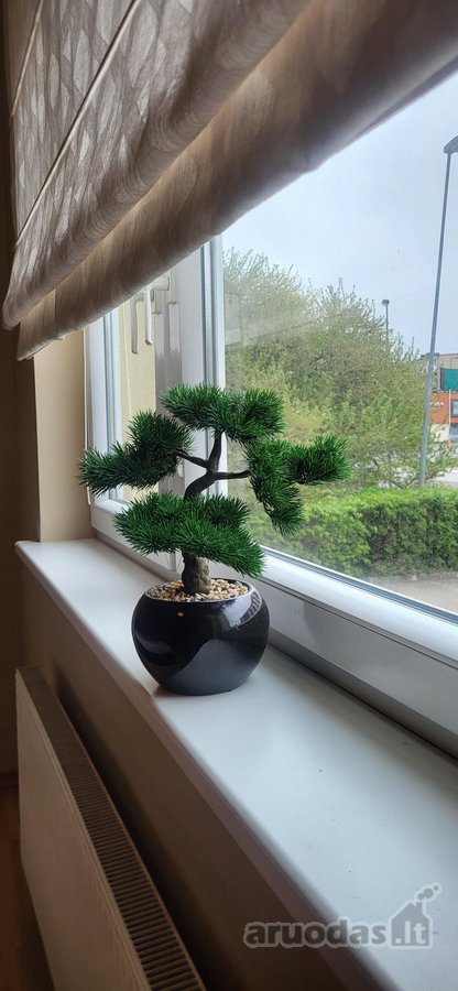 Parduodamas stilingas, ką tik suremontuotas 3 - nuotraukos Nr. 19