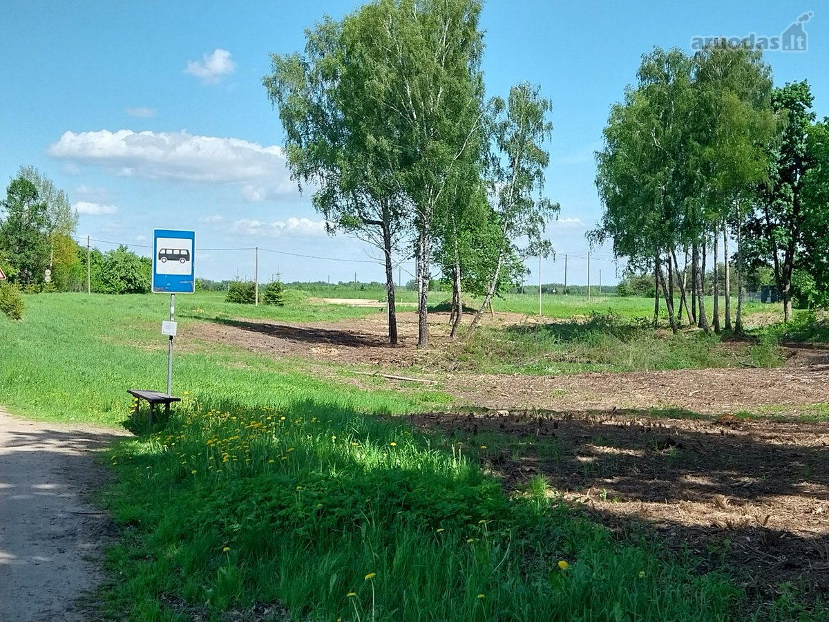 1,3 ha žemės ūkio paskirties sklypas, pagal - nuotraukos Nr. 2