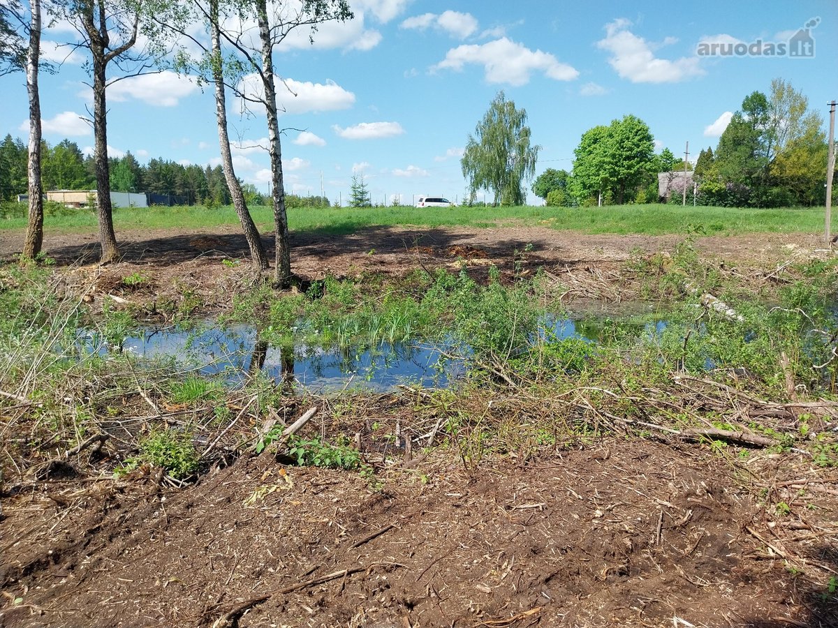 1,3 ha žemės ūkio paskirties sklypas, pagal - nuotraukos Nr. 3