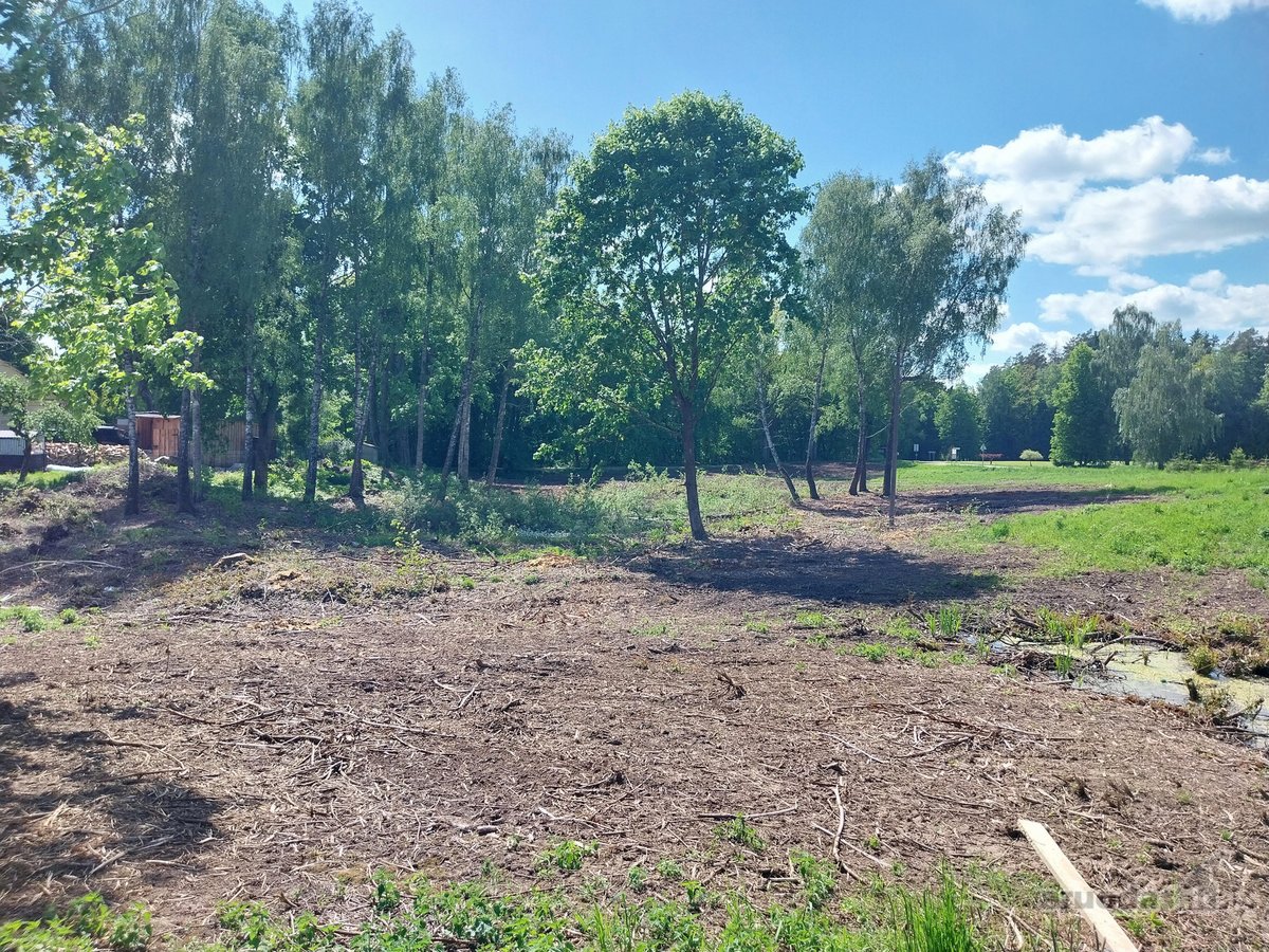 1,3 ha žemės ūkio paskirties sklypas, pagal - nuotraukos Nr. 4