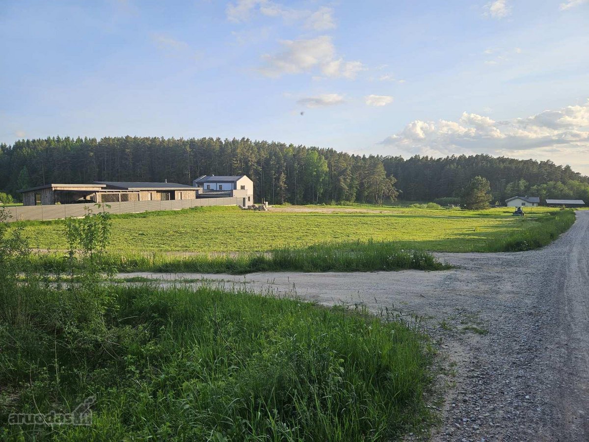 Parduodami du puikūs, vienas šalia kito - nuotraukos Nr. 2