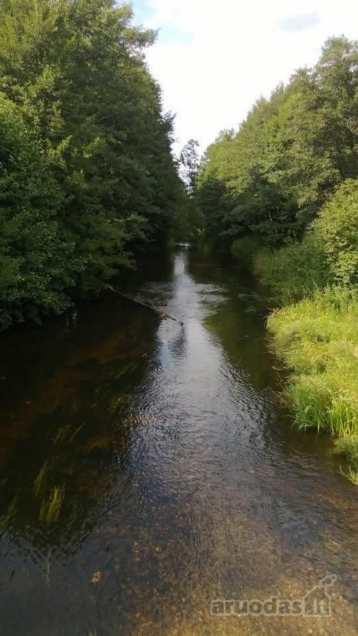 Labai perspektyvi vieta, tvarkingi kaimynai, - nuotraukos Nr. 3