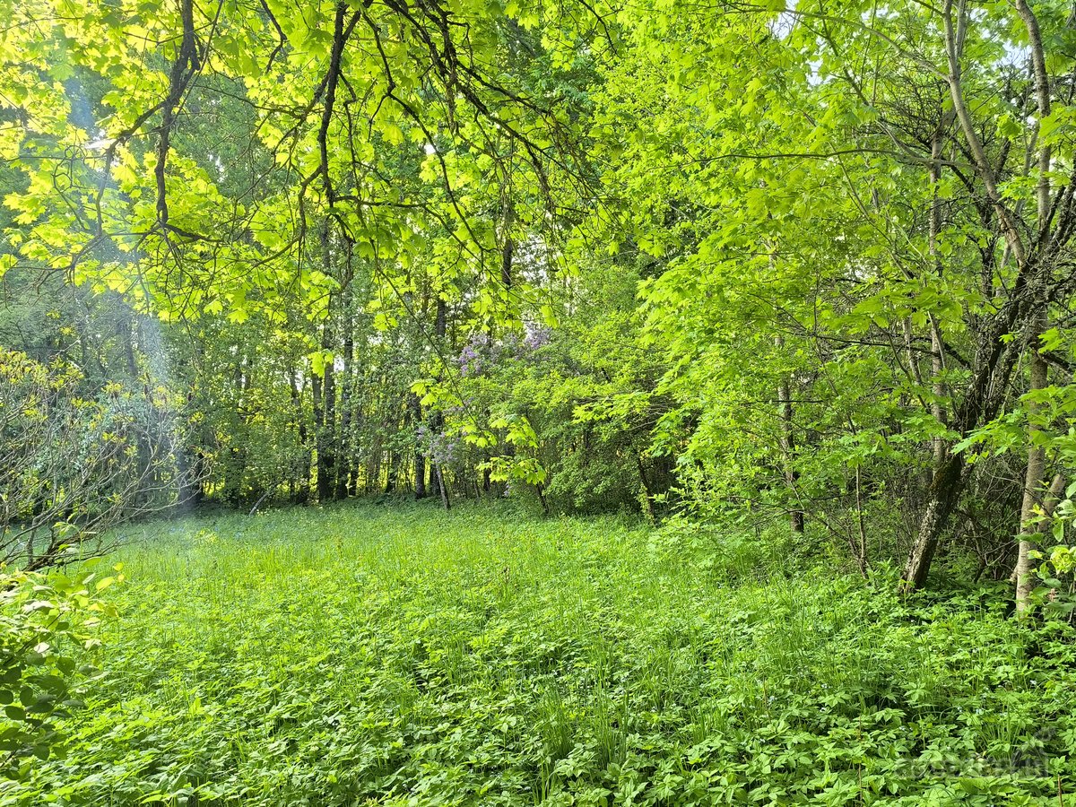 Žemaitkiemio centre parduodamas sklypas - nuotraukos Nr. 13