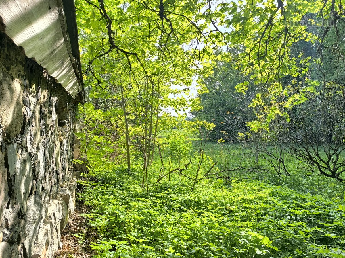 Žemaitkiemio centre parduodamas sklypas - nuotraukos Nr. 14