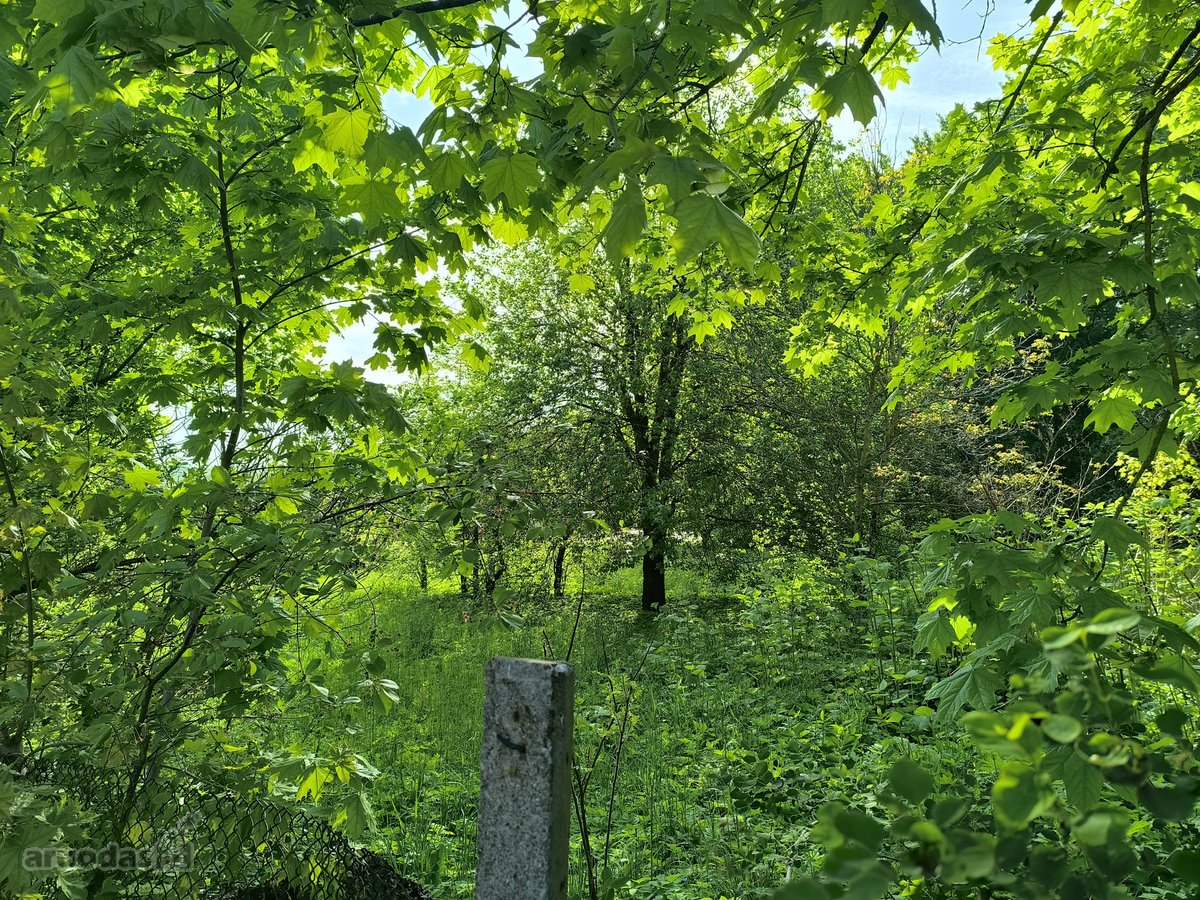 Žemaitkiemio centre parduodamas sklypas - nuotraukos Nr. 17