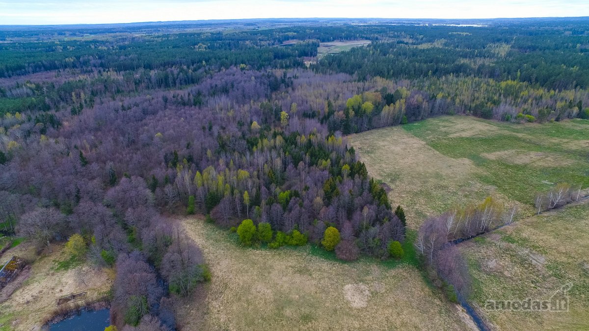 Parduodama sodyba tarp Varėnos miškų šalia - nuotraukos Nr. 21