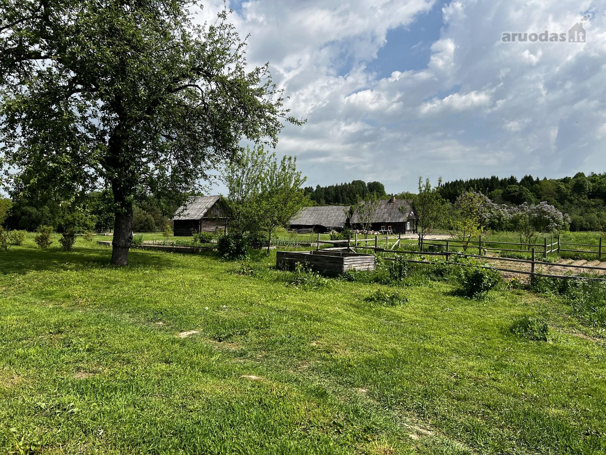 Ramioje Musės upės kilpoje, nedideliame - nuotraukos Nr. 12
