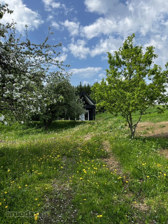 Ramioje Musės upės kilpoje, nedideliame - nuotraukos Nr. 22