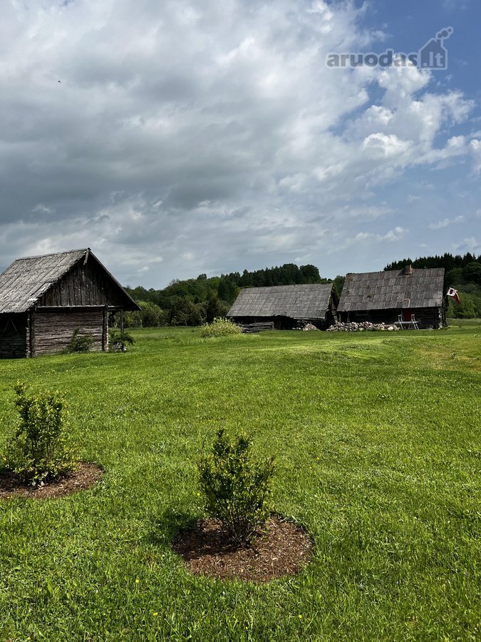 Ramioje Musės upės kilpoje, nedideliame - nuotraukos Nr. 11