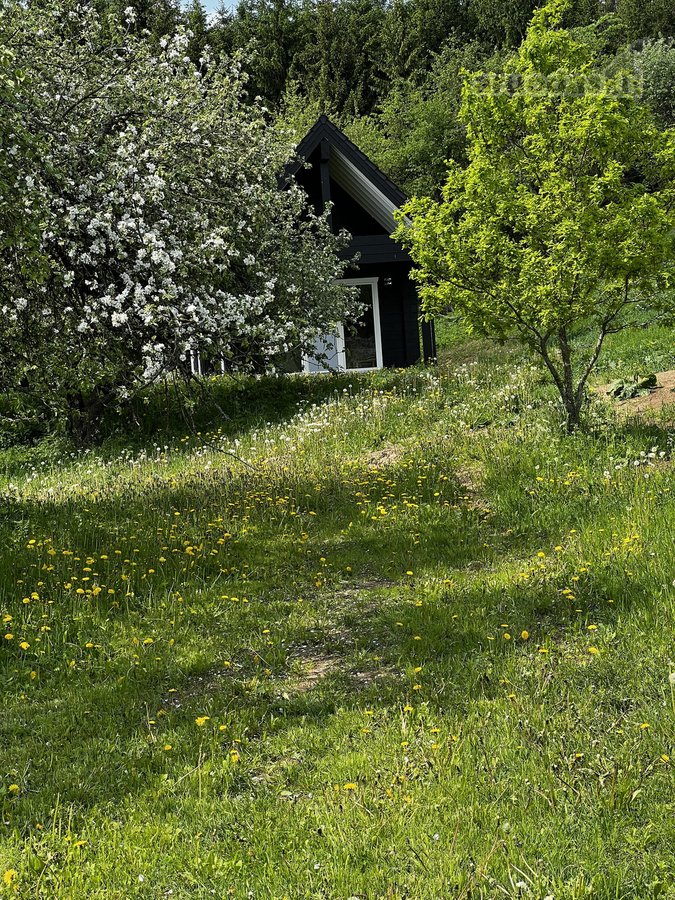 Ramioje Musės upės kilpoje, nedideliame - nuotraukos Nr. 23