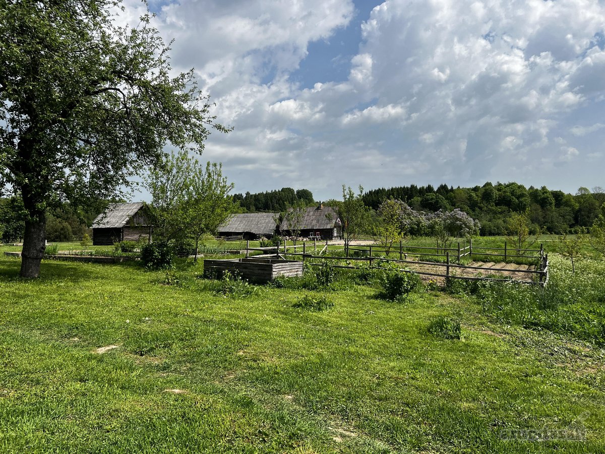 Ramioje Musės upės kilpoje, nedideliame - nuotraukos Nr. 13