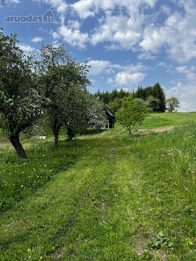 Ramioje Musės upės kilpoje, nedideliame - nuotraukos Nr. 21