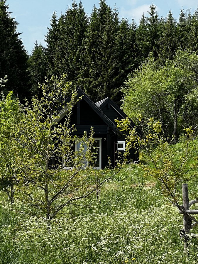 Ramioje Musės upės kilpoje, nedideliame - nuotraukos Nr. 26