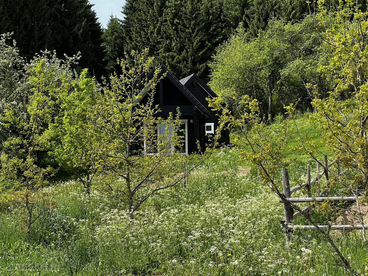 Ramioje Musės upės kilpoje, nedideliame - nuotraukos Nr. 25