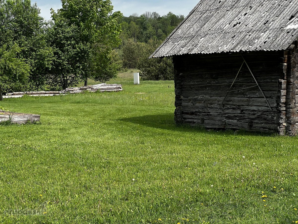 Ramioje Musės upės kilpoje, nedideliame - nuotraukos Nr. 15