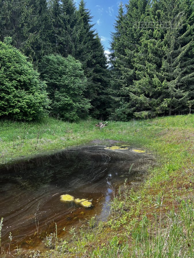 Ramioje Musės upės kilpoje, nedideliame - nuotraukos Nr. 35