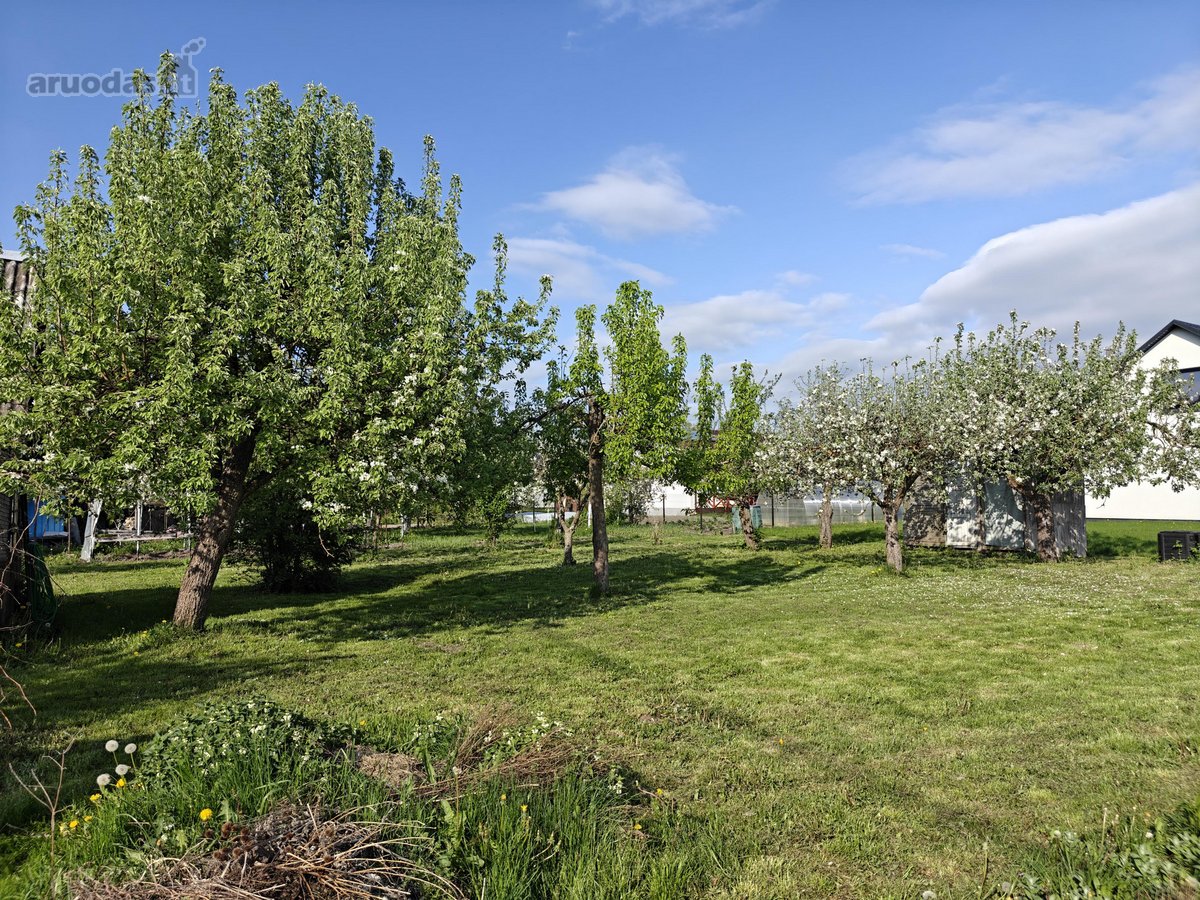 Parduodamas 12 a sodo sklypas Pašilių soduose - nuotraukos Nr. 3