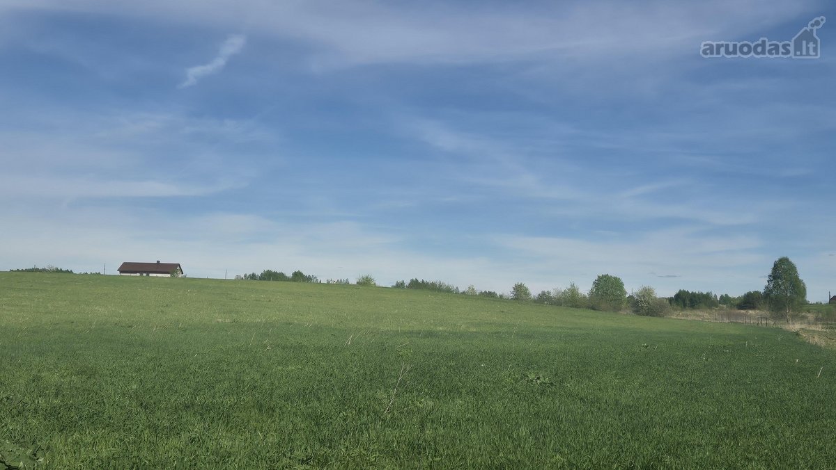 Parduodu 40 a žemės sklypą Maišiagaloje. - nuotraukos Nr. 5