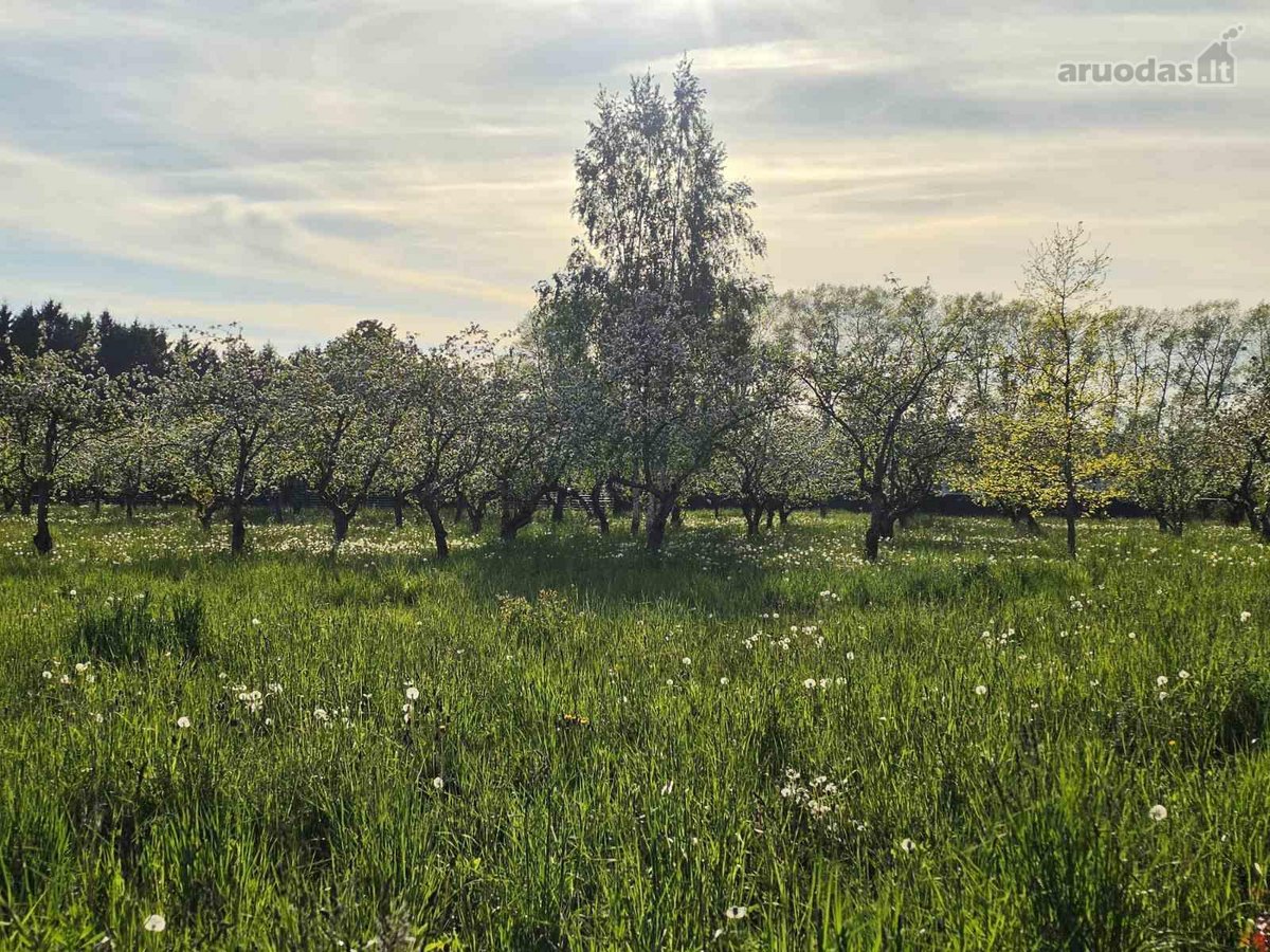 Šalia Kretingos m, Dupulčių km, Parduodami - nuotraukos Nr. 5