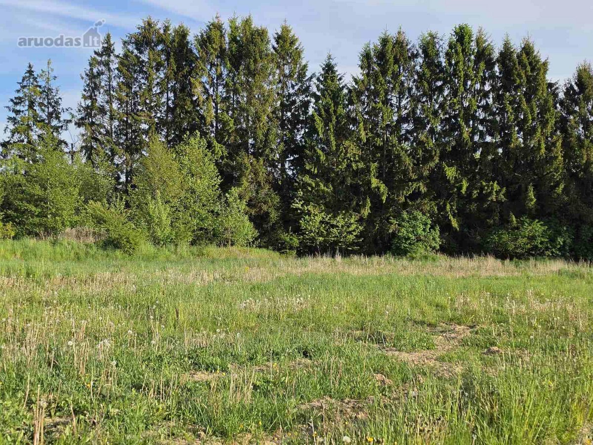 Šalia Kretingos m, Dupulčių km, Parduodami - nuotraukos Nr. 6