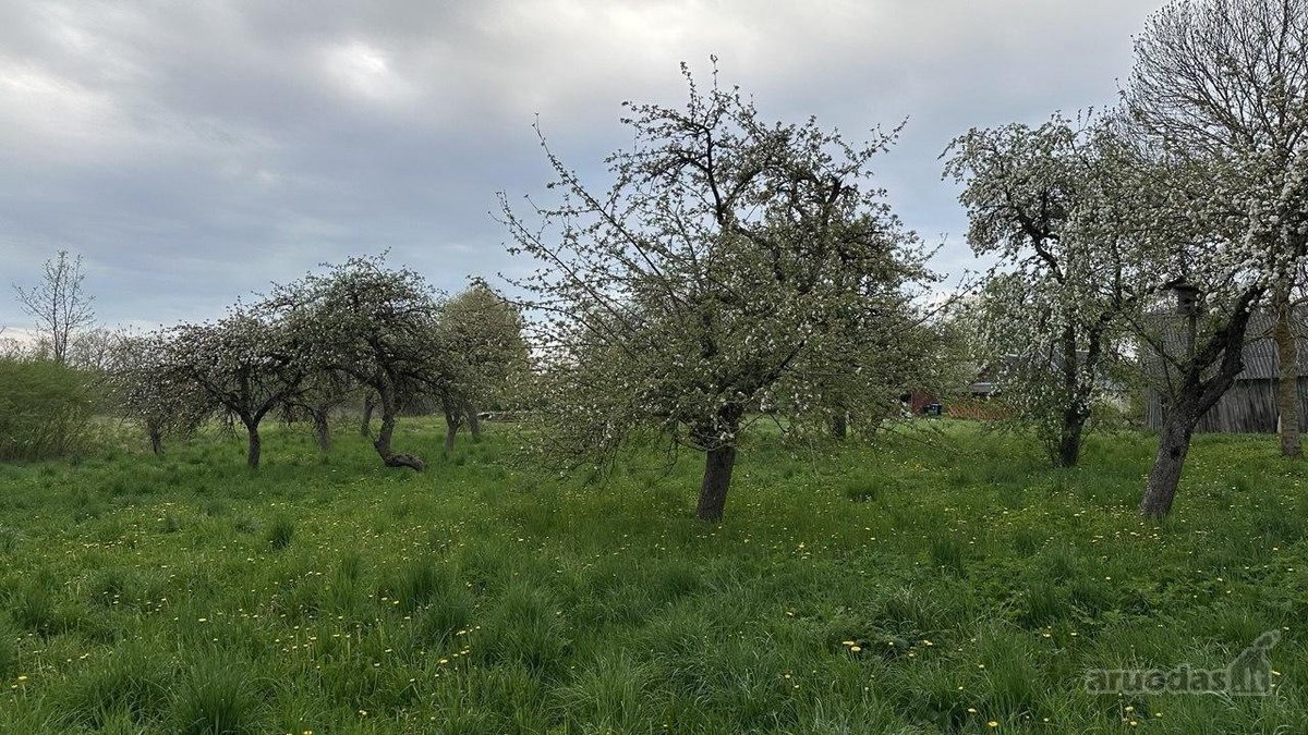 Puiki vieta poilsiui, gyvenimui ir verslui.  - nuotraukos Nr. 2
