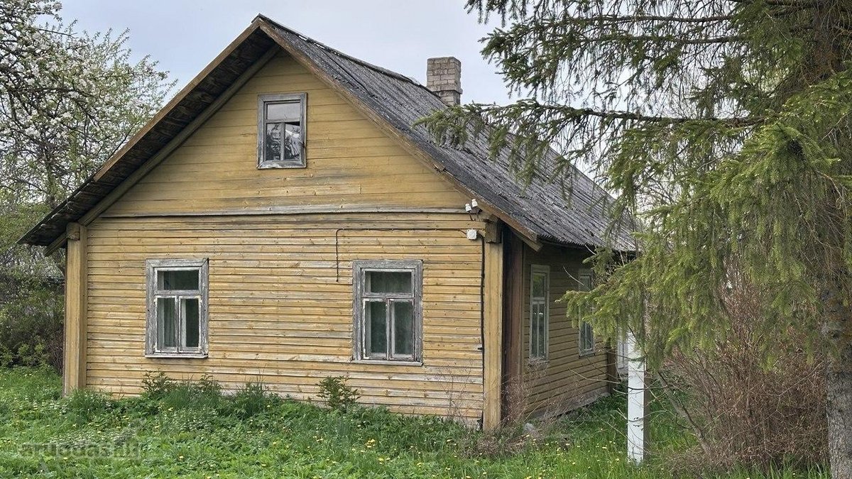 Puiki vieta poilsiui, gyvenimui ir verslui.  - nuotraukos Nr. 5
