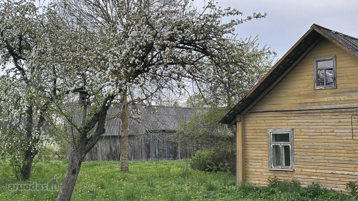 Puiki vieta poilsiui, gyvenimui ir verslui.  - nuotraukos Nr. 6