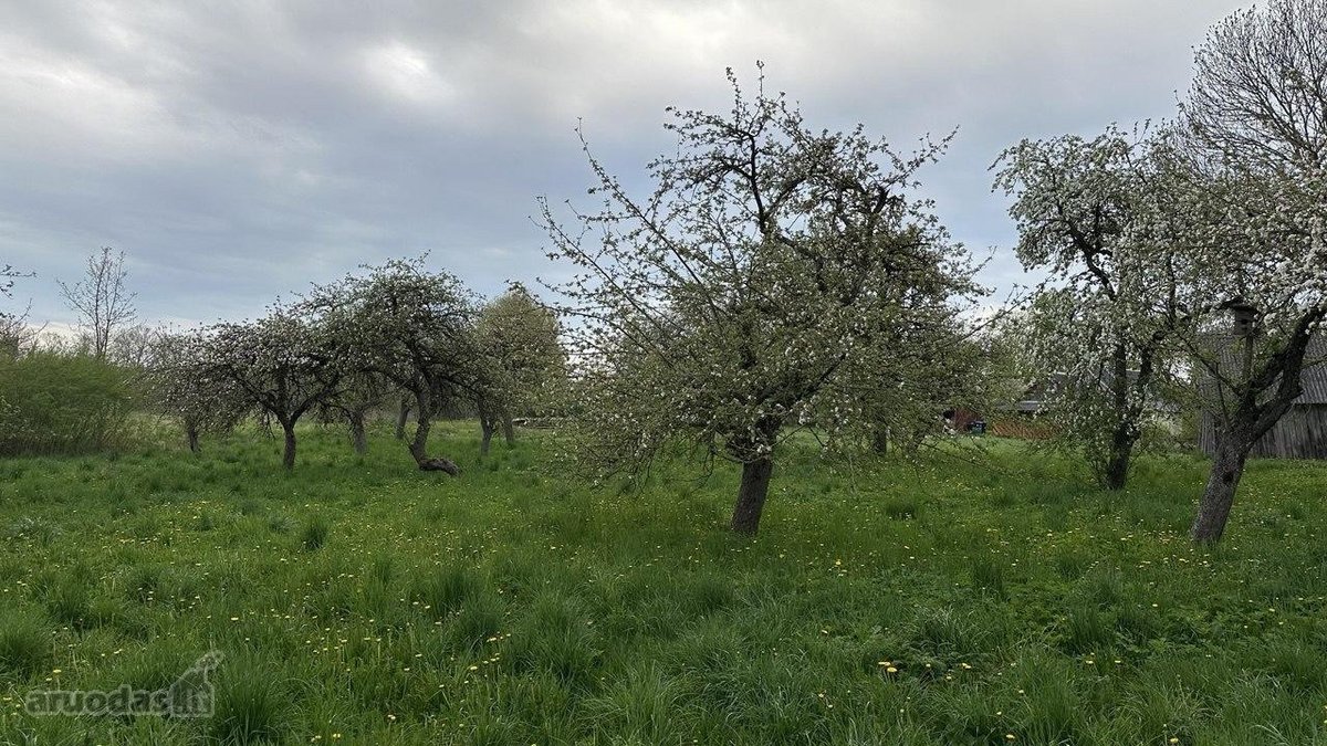 Puiki vieta poilsiui, gyvenimui ir verslui.  - nuotraukos Nr. 7